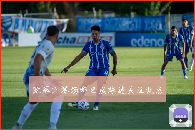 欧冠比赛场哪里成球迷关注焦点