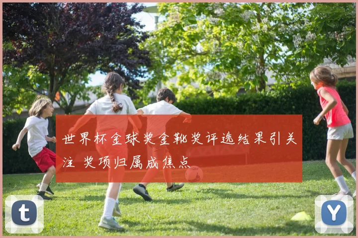 世界杯金球奖金靴奖评选结果引关注 奖项归属成焦点
