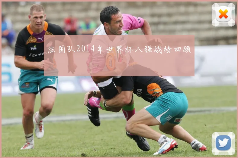 法国队2014年世界杯八强战绩回顾